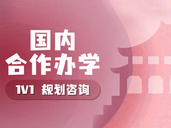 国内 合作办学